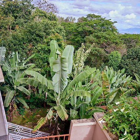 Kilimanjaro Foothills Getaway 호텔 모시 외부 사진