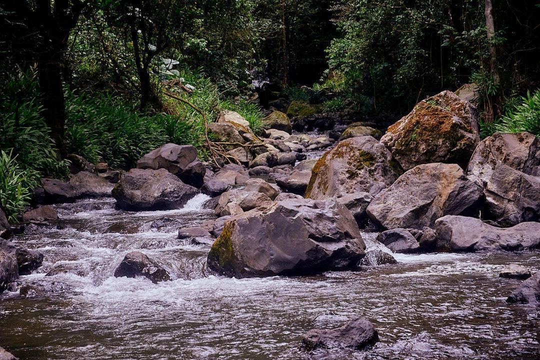 Kilimanjaro Foothills Getaway 호텔 모시 외부 사진