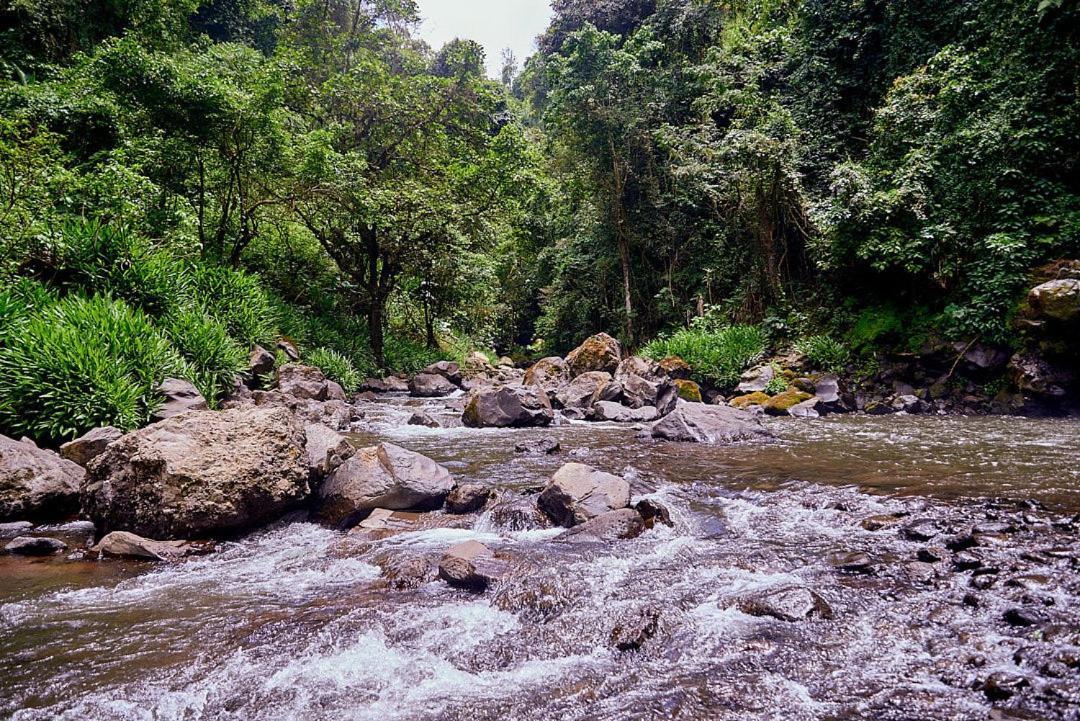 Kilimanjaro Foothills Getaway 호텔 모시 외부 사진