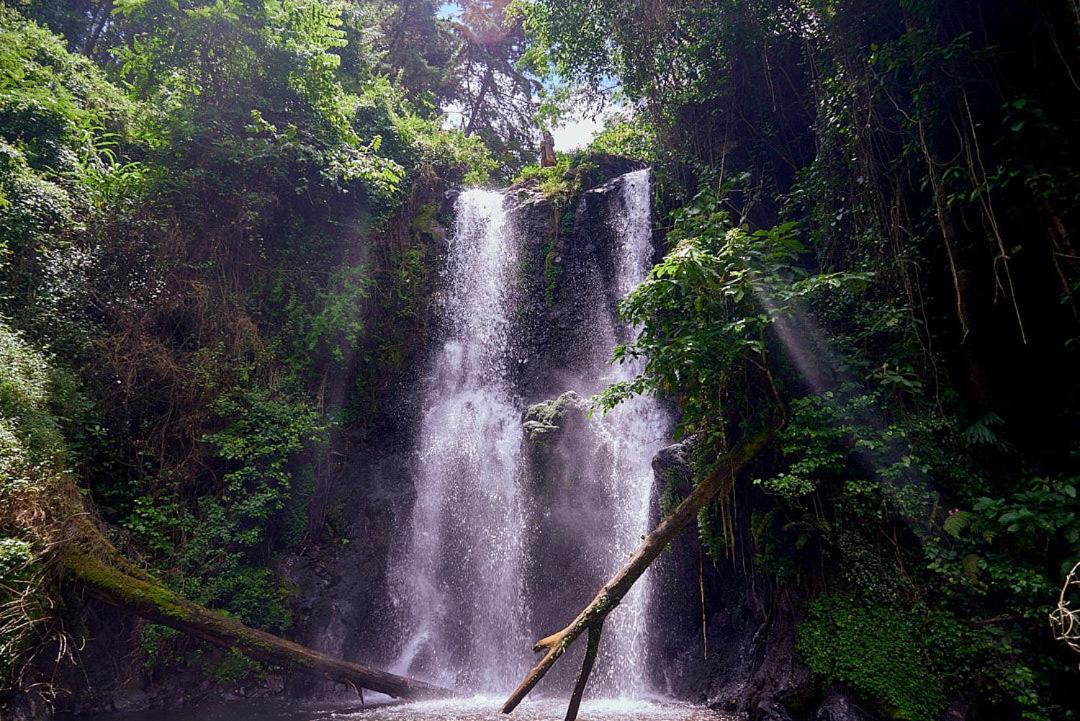 Kilimanjaro Foothills Getaway 호텔 모시 외부 사진