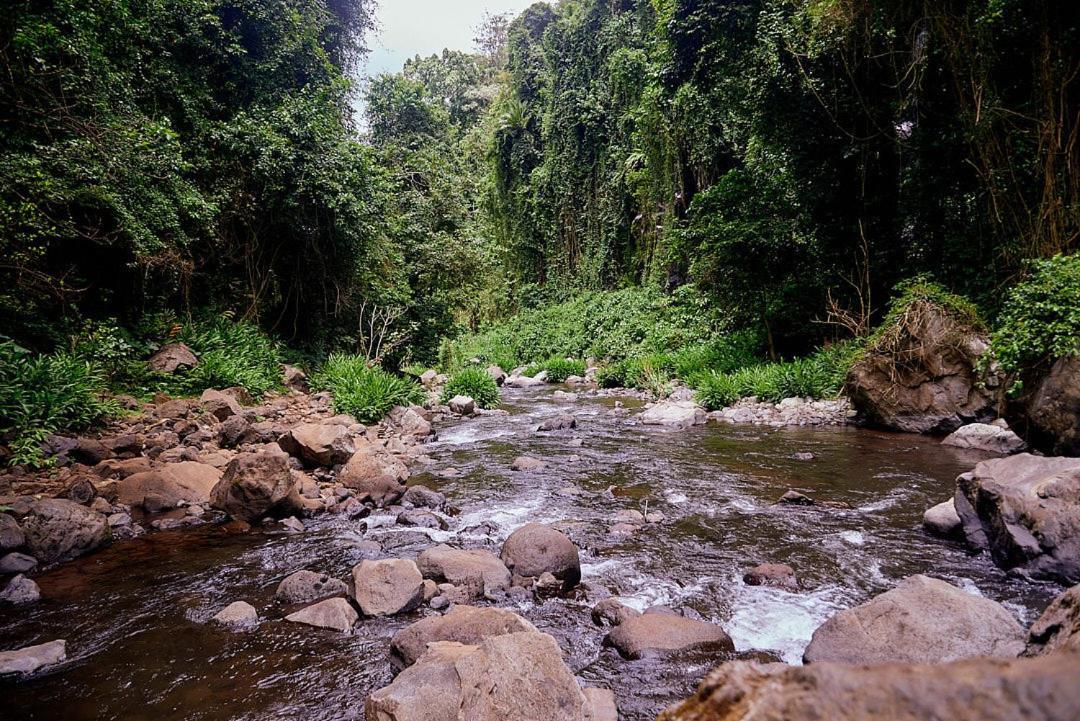 Kilimanjaro Foothills Getaway 호텔 모시 외부 사진