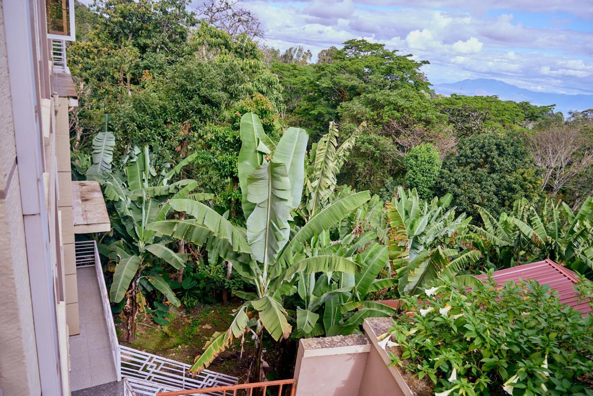 Kilimanjaro Foothills Getaway 호텔 모시 외부 사진