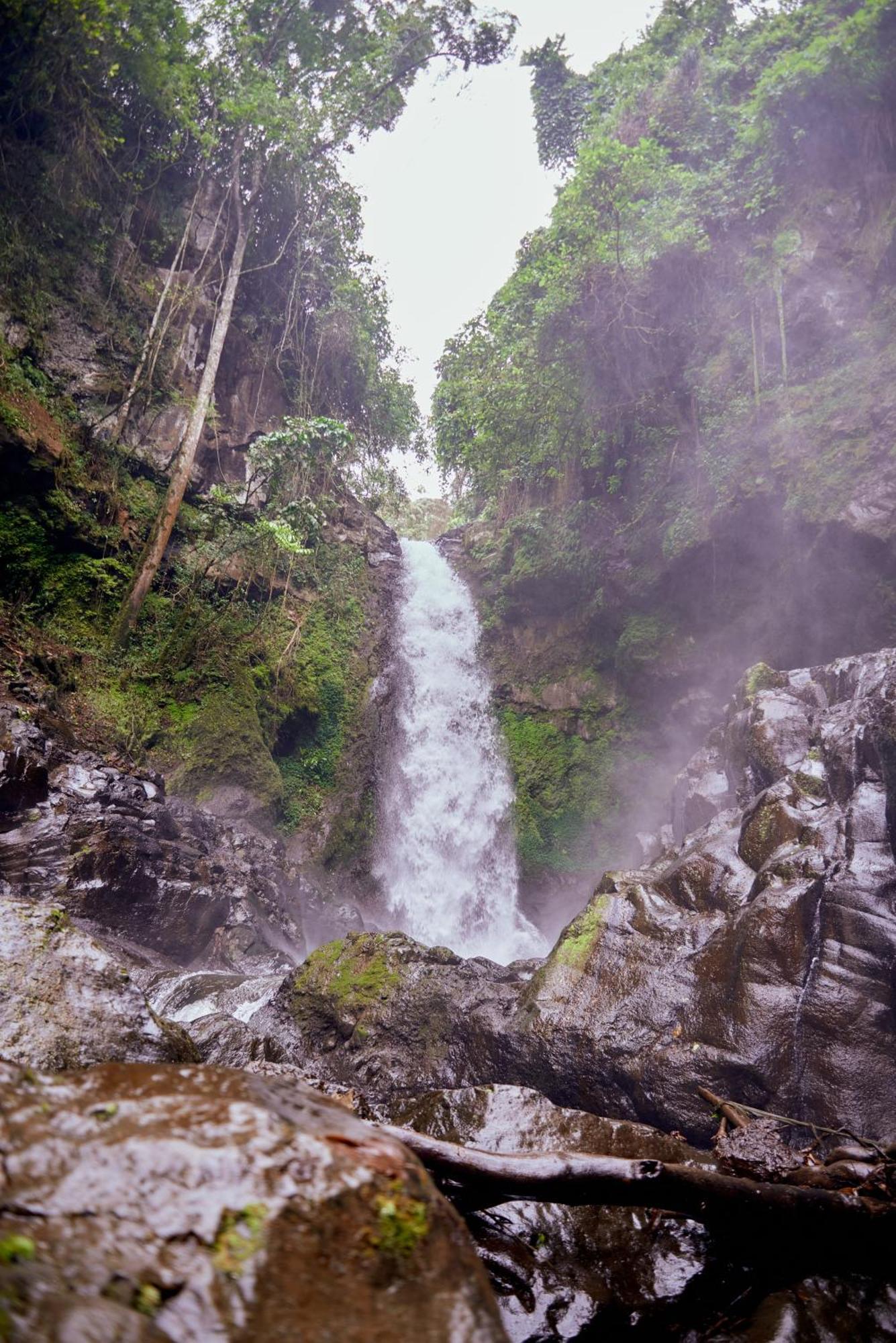 Kilimanjaro Foothills Getaway 호텔 모시 외부 사진