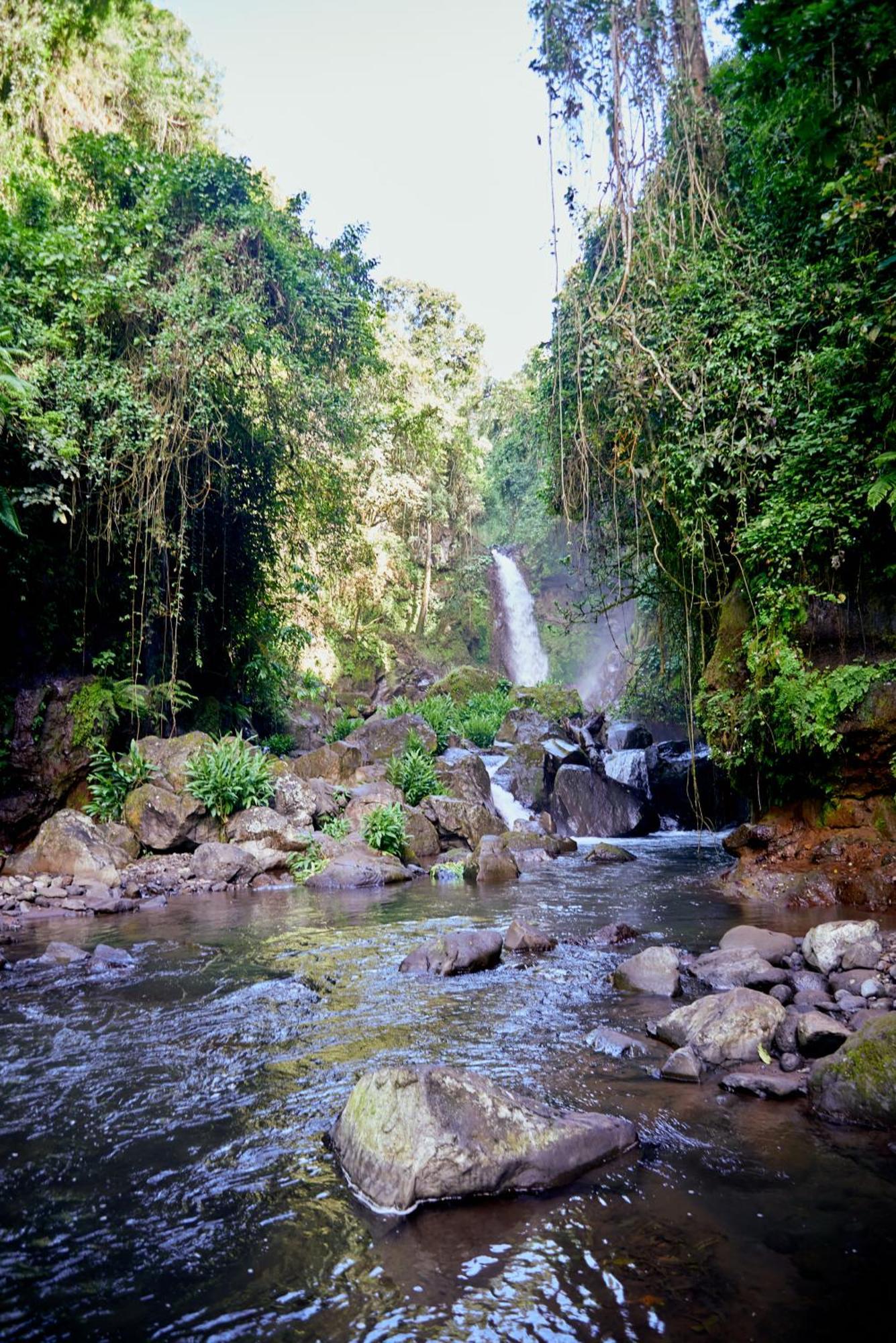 Kilimanjaro Foothills Getaway 호텔 모시 외부 사진